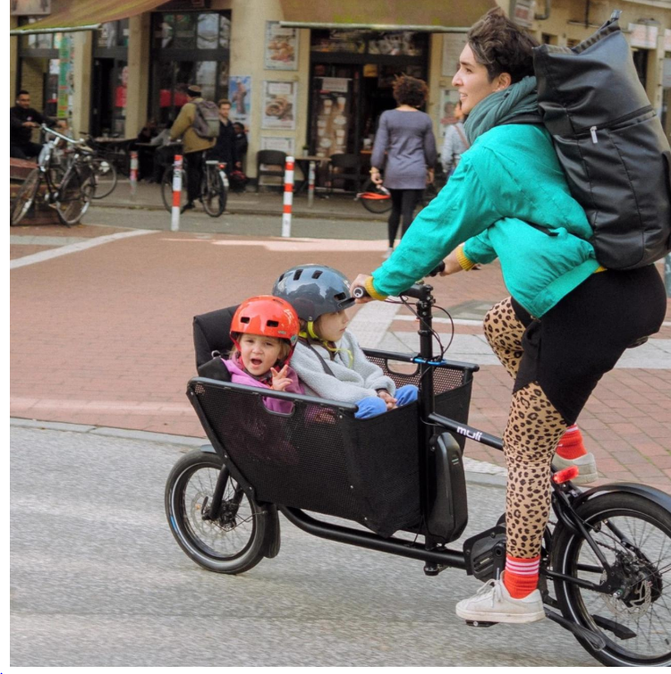 Cargo Electric Bicycles